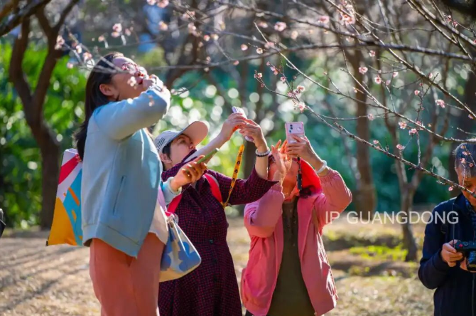 腊味至，热气腾腾的年不远了