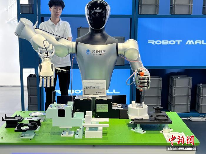 从量产到应用，中国机器人“加速进化”