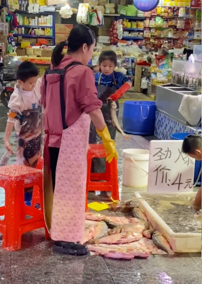 佛山秋假“鱼档少年”走红背后：最好的课堂在身边的烟火日常