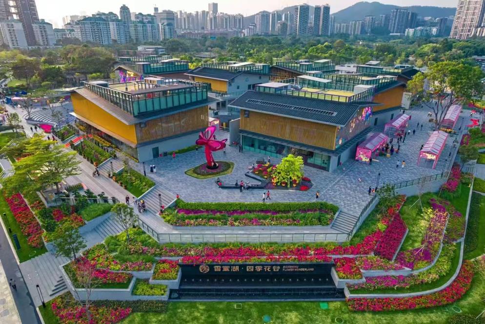 服務APEC「中國年」 深圳香蜜湖街道打造友城合作新實踐