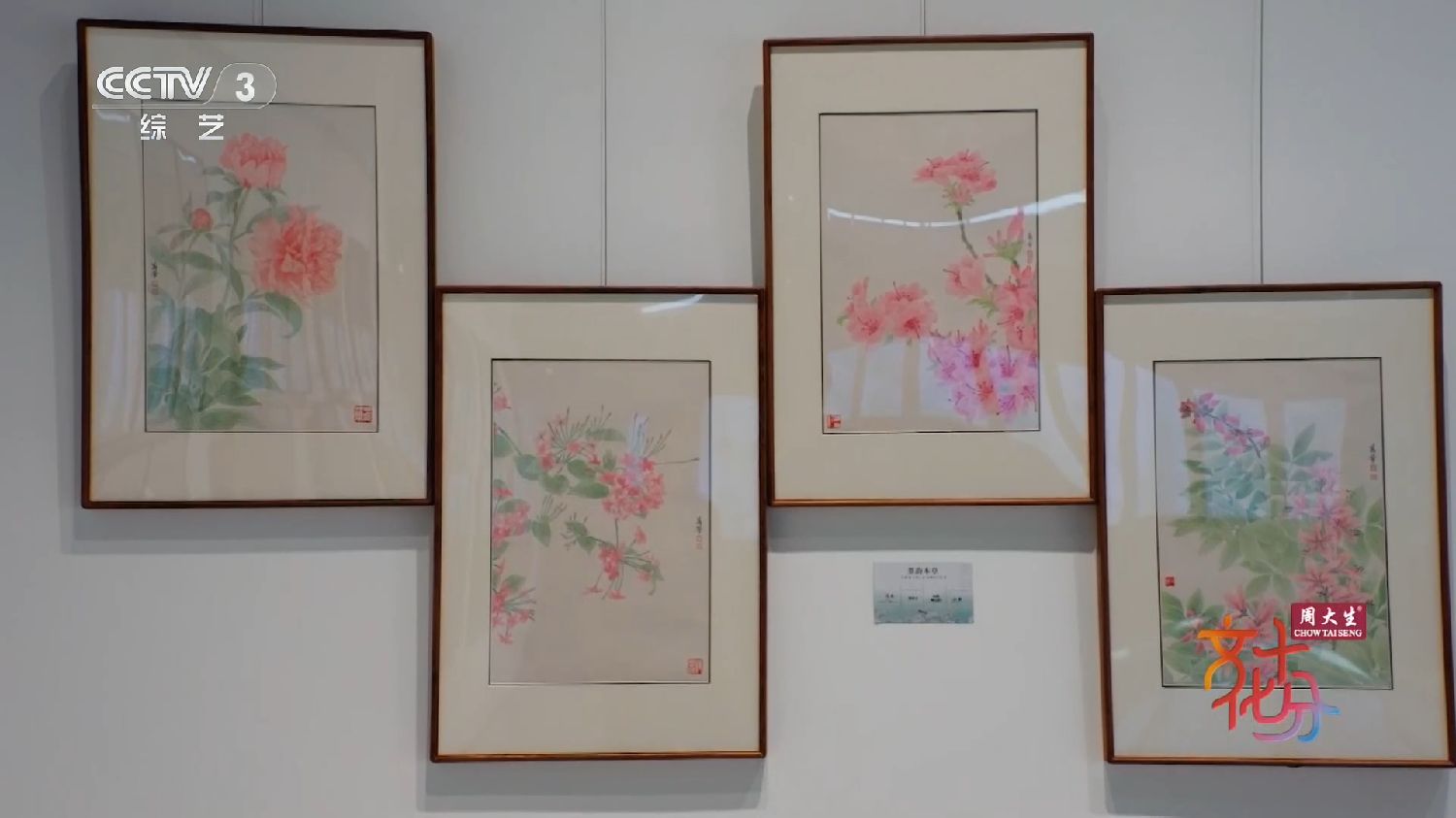 工笔绘本草，丹青传药香——万芾“墨韵本草”画展开幕